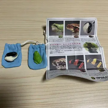 카이요도 캡슐 Q 뮤지엄 지갑 개구리 올챙이 일본 청개구리