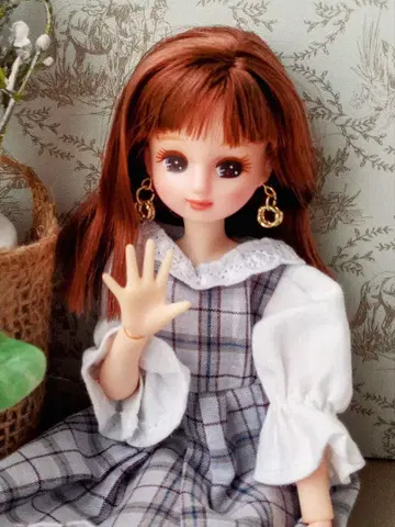 리카짱 본체 아쉬 브라운 옷 갈아입히기 인형