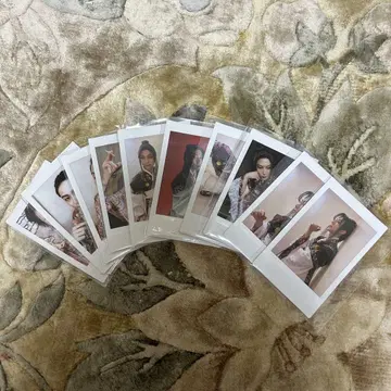 쿠가 쿄헤이 폴라로이드 카미시바이 극도 극장 컴퍼니