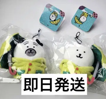 나가노 비가 오네 곰과 비가 오네 퍼그 2개 세트