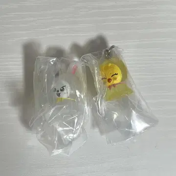 스키즈 메지루시 참