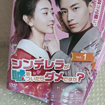 신데렐라가 거짓말을 하면 안 되나요? DVD 중국 드라마 전권 량제이