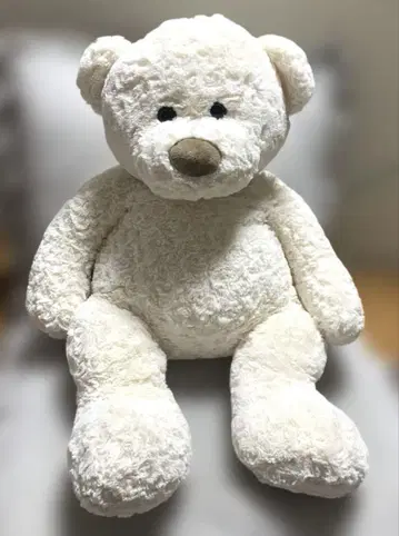 코스트코 화이트 곰