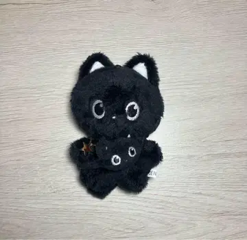 RIIZE 봉제 인형 원빈 마스터