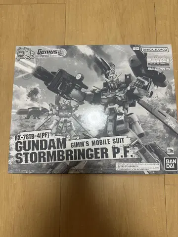 MG 1/100 건담 스톰 브링거 P.F. 새상품급