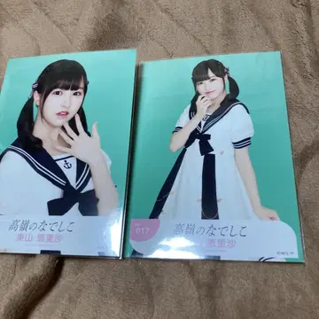 타카네노 나데시코 히가시야마 에리사 2장 브로마이드 마린 타카네코