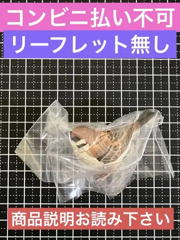 네이처 테크니컬러 일본의 생물 03 참새