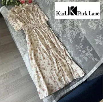 카파크레인 원피스 희귀 샘플