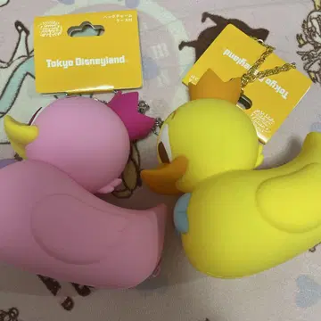 도쿄 디즈니랜드 팔루자 도날드 백 참