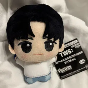 용재 TWS From PLEDIS ENTERTAINMENT SD 인형
