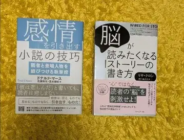 뇌가 읽고 싶어지는 문장 쓰기 & 감정을 끌어내는 소설의 기법