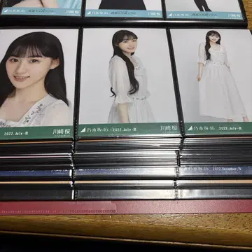 노기자카46 카와사키 벚꽃 자수 컴프