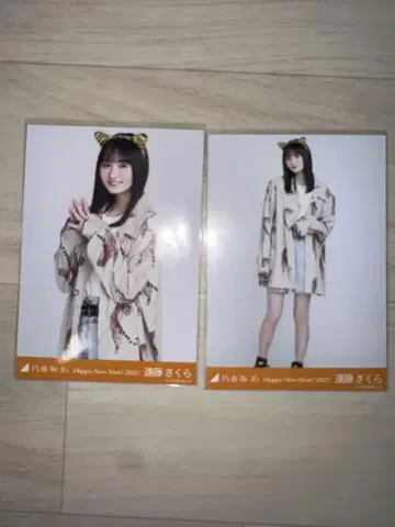 노기자카46 엔도 사쿠라 십이지 호랑이