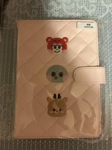 RIIZE HUG MD 바인더 앤톤
