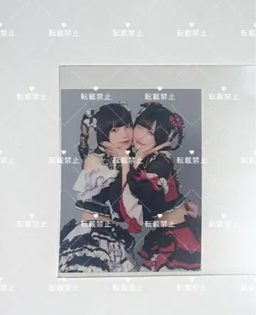 큐루링 해봐 신기루 아무, 타마키 야네 증명사진