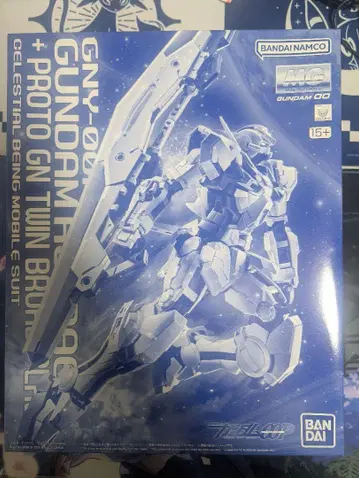 MG 1/100 건담 아스트레아 프로토 GN 트윈 브로드 블레이드