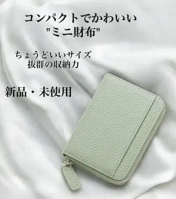 컴팩트한 미니 지갑 여성용 라임, 지폐가 접히지 않는 반지갑