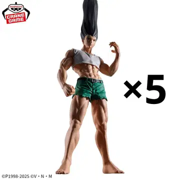 HUNTER x HUNTER 곤 피규어 라이프
