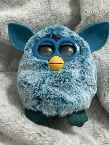 퍼비 키위그린