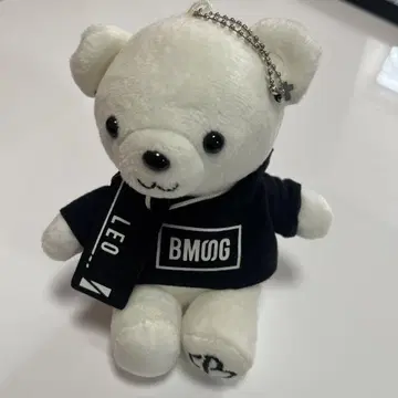 LEO BE:FIRST 곰