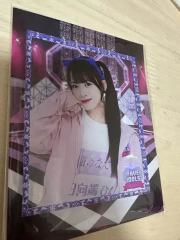타카네노 나데시코 히나타바타 히나