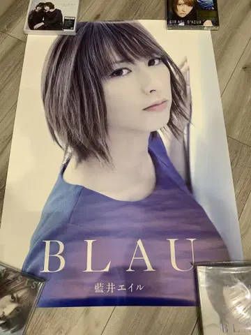 아이오이 에일 BLAU B2 포스터