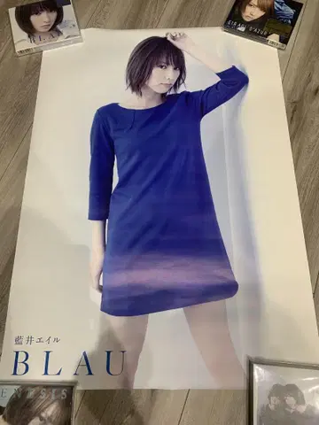 아이오이 에일 BLAU B2 포스터