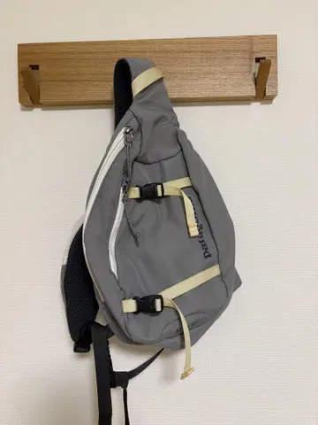 파타고니아 (patagonia) 바디백 그레이 Atom 8L