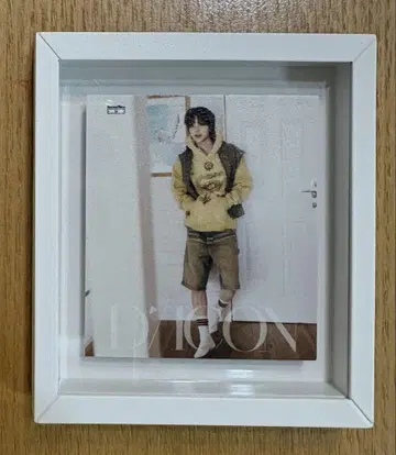 D'PARTMENT DICON MAGNET FRAME EJ