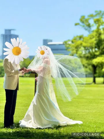 웨딩 베일