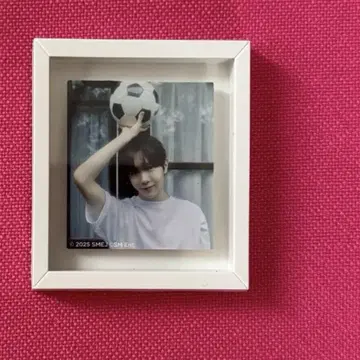 NCT ONE SUMMER WISH 료 마그넷