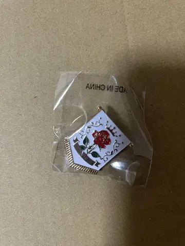 이마이치 류지 메탈 핀 배지 2