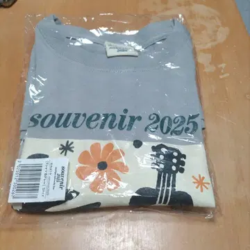 souvenir 2025 그레이 티셔츠