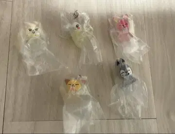 SKZOO 메지루시 액세서리