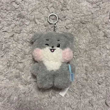 zb1 고니니 메시지 키링