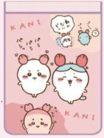 치이카와 시마무라 냉감 케트 하치와레 헌책방 카니짱