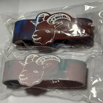 Chevon 러버 밴드 2개 세트