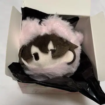 문호 스트레이독스 하루냥코 다자이 오사무