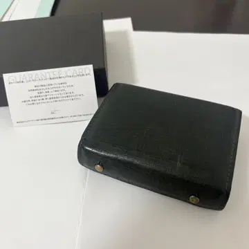 엠피우 밀레폴리에 콰드레띠 그린