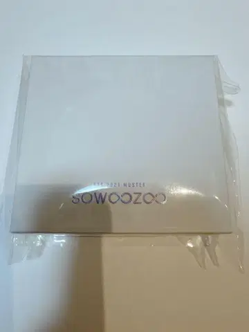 bts sowoozoo 소우주 귀걸이
