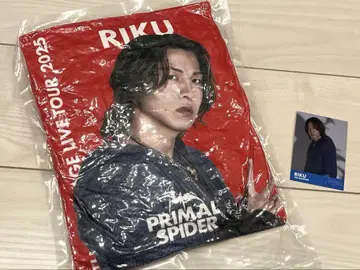 PRIMAL SPIDER 회장 캡슐 레어 아이템 쿠션 (RIKU)