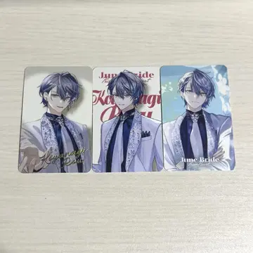 코야나기 로우 Junebride 3종 세트