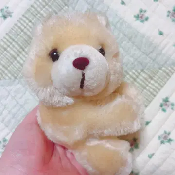 [오늘 발송 가능] 곰 봉제 인형 벨크로 테이프 [가격 인하 가능]