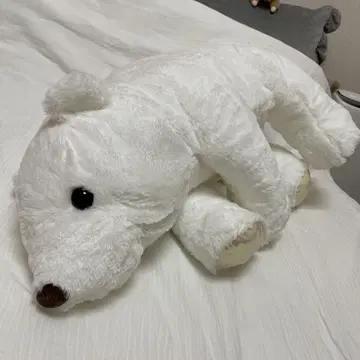 북극곰 봉제 인형 오로라