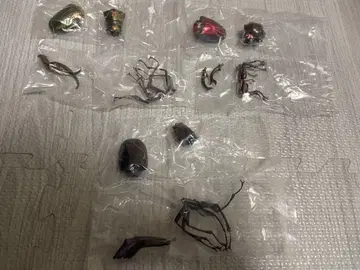 생물대도감 사슴벌레10 니지이로사슴벌레 페이스타멜시와바네사슴벌레