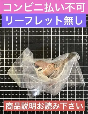네이처 테크니컬러 일본의 생물 03 참새