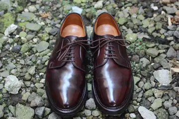 알든 9903 코도반