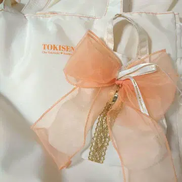 초 토키메키 선전부 10th Anniversary Book 백 파우치