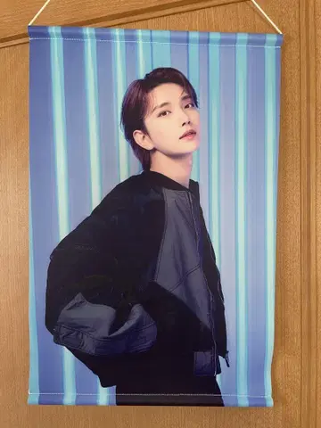SEVENTEEN 조슈아 태피스트리