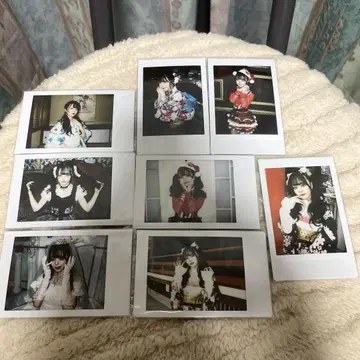 유라 고양이 폴라로이드 세트